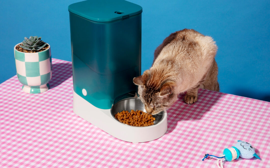 L’alimentazione ideale per cani e gatti: come scegliere la dieta perfetta