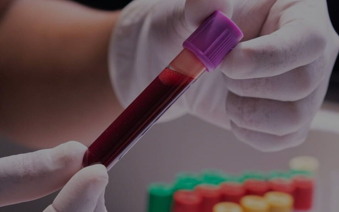Laboratorio
